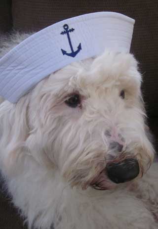 Captain Tugboat Bella